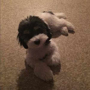 Meet your Posher, Melissa